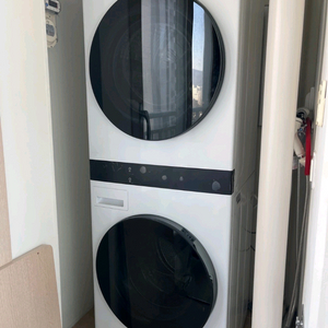 LG 건조기 세탁기 워시타워 신형 이미지