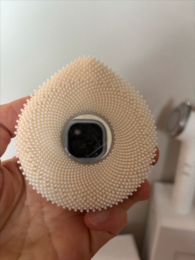 엘지 프라엘 이미지