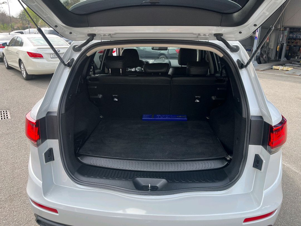 르노 뉴QM62.0LPe 2wd LE 이미지