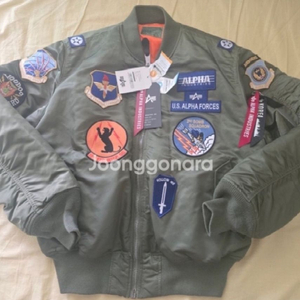 알파인더스트리 [ 한정판 ] MA-1 레귤러 스쿼드론 항공점퍼 Sage Green 블루종 (XL / 110) 이미지