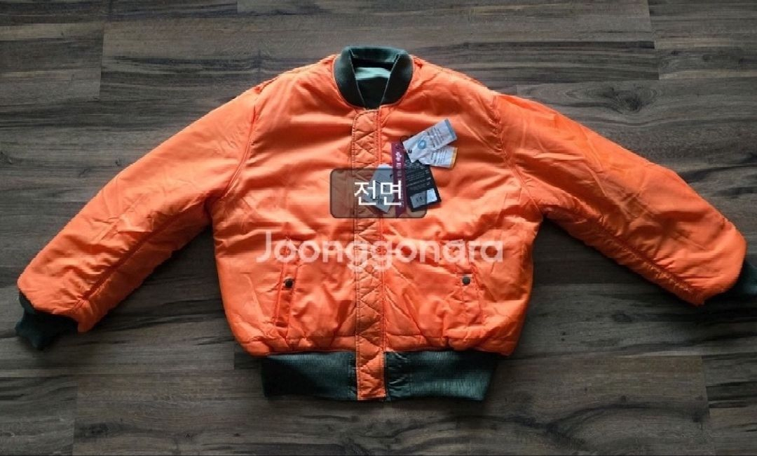 알파인더스트리 [ 한정판 ] MA-1 레귤러 스쿼드론 항공점퍼 Sage Green 블루종 (XL / 110) 이미지