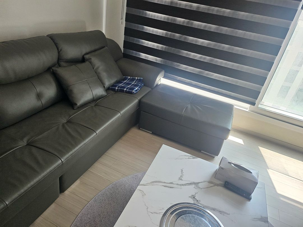 에넥스 ENEX Interior 가죽 소파 이미지