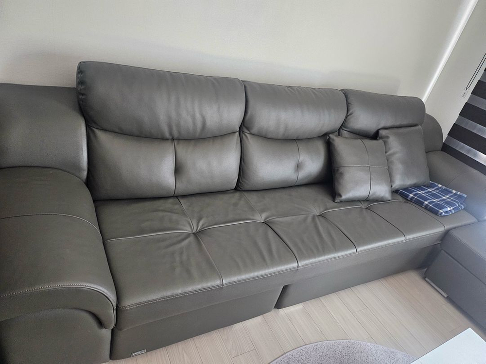 에넥스 ENEX Interior 가죽 소파 이미지