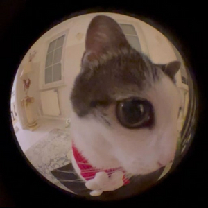 스배 배그 클랜 7이내로 구합니다 이미지