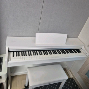야마하 디지털 피아노 (YDP-163WH) 이미지