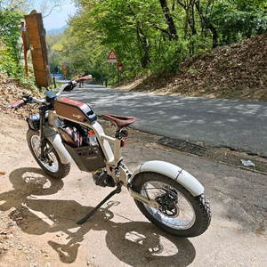 BR3 헤리티지 전기자전거 배터리2개 자토바이 이미지