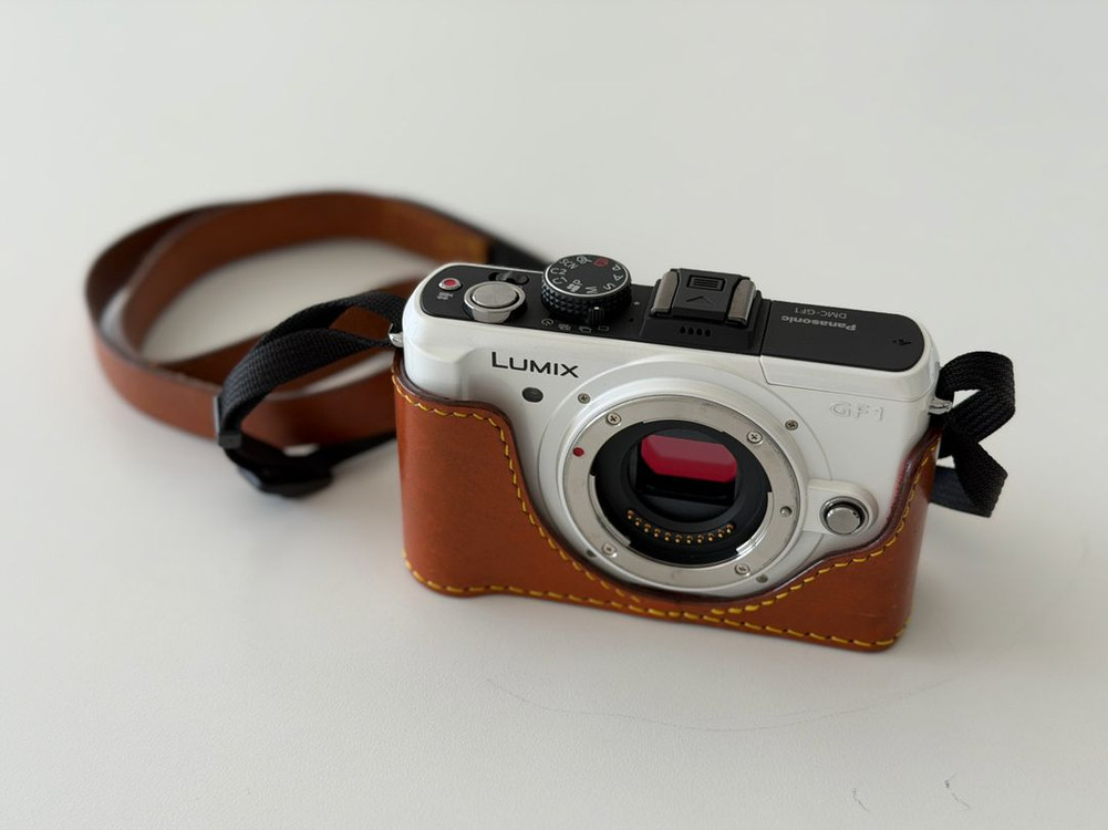 파나소닉 루믹스 GF1(셔터 2600컷대) 이미지
