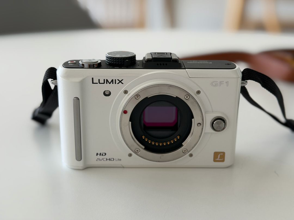 파나소닉 루믹스 GF1(셔터 2600컷대) 이미지