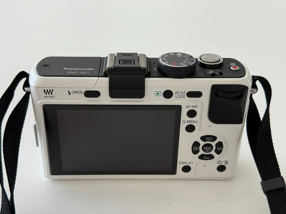 파나소닉 루믹스 GF1(셔터 2600컷대) 이미지