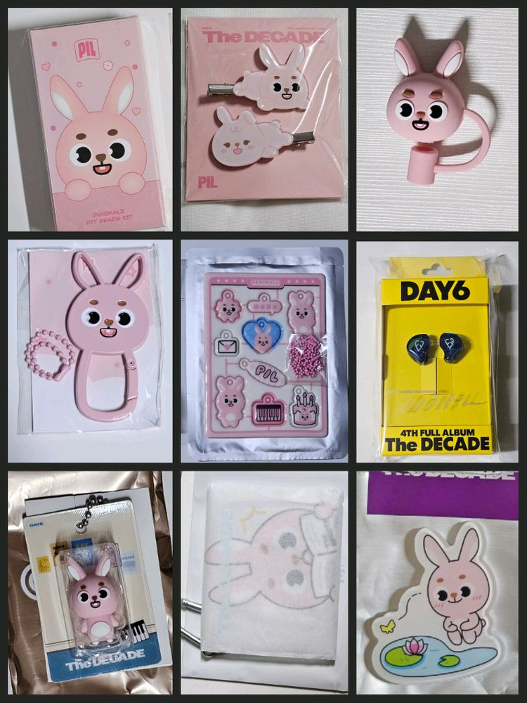 데이식스 원필 데니멀즈 피규어 비즈 인이어 마그넷 등 이미지