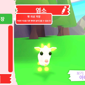 입양하세요 펫 메가네온 염소(메염소)판매합니다 이미지