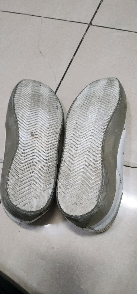 골든구스 수퍼스타 42사이즈 와 구찌 스니커즈 이미지