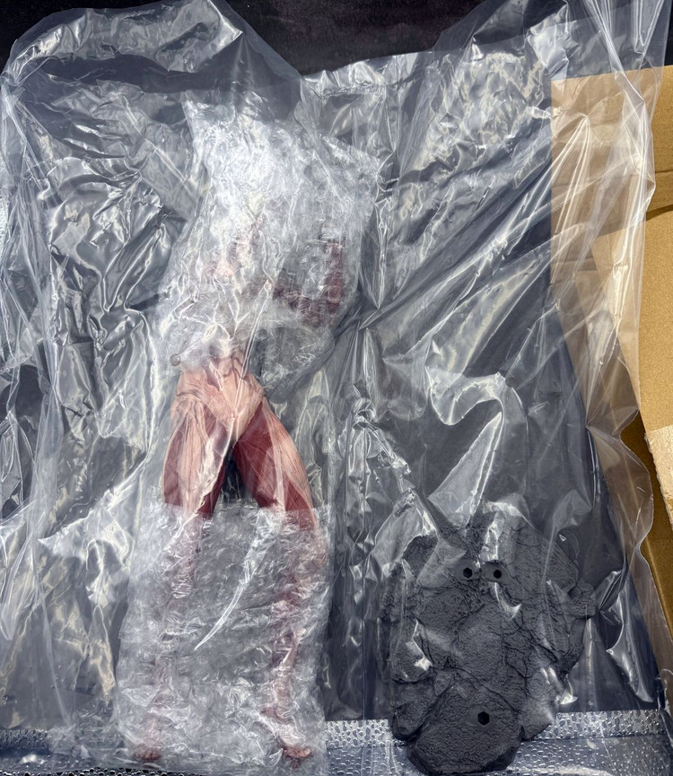 [개봉품]제일복권 애니레온하트 여성형거인 이미지