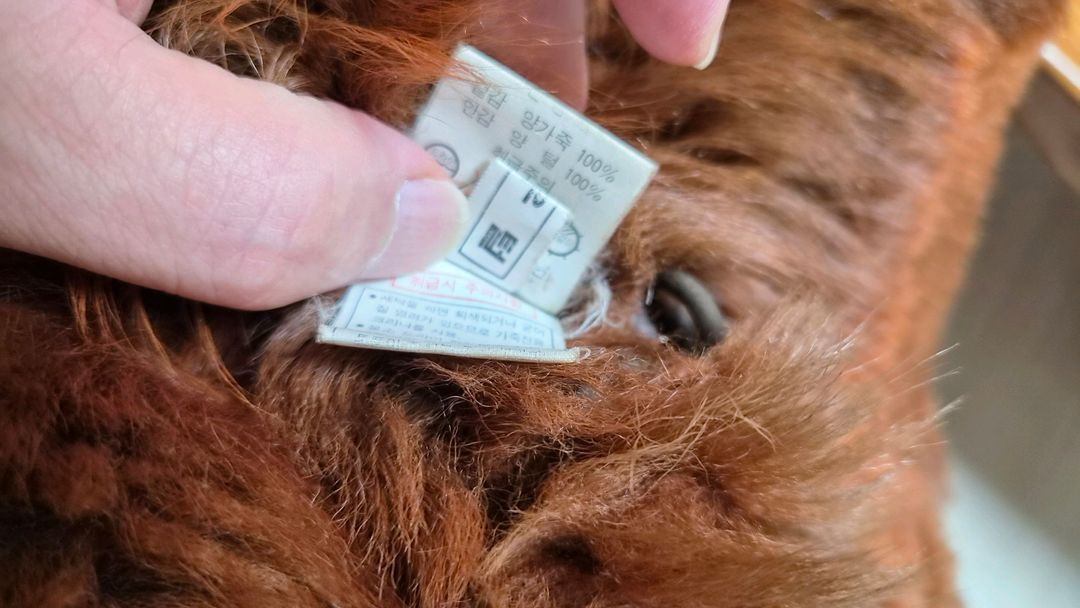 천연 양가죽/양털 100% + 리얼 폭스퍼 중기장 무스탕 (상태 최상) 이미지