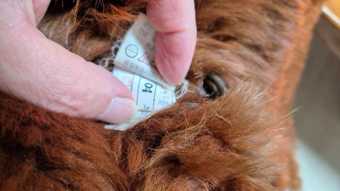 천연 양가죽/양털 100% + 리얼 폭스퍼 중기장 무스탕 (상태 최상) 이미지