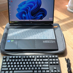 인텔 i9 13900HX/ram32G 512G RTX4060 게이밍노트북 이미지