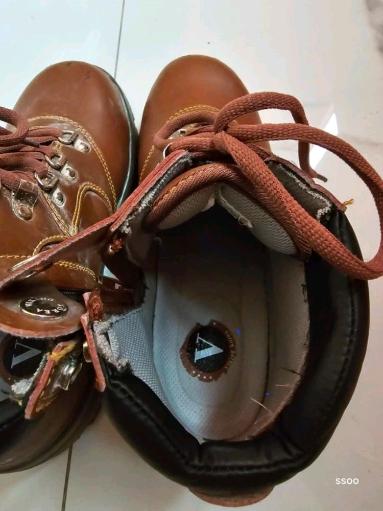 하드 안전화 255mm 이미지