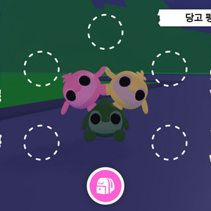 입양하세요 타는 당고펭귄 이미지