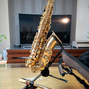 셀마 색소폰(알토) 수퍼액션80 시리즈1 이미지