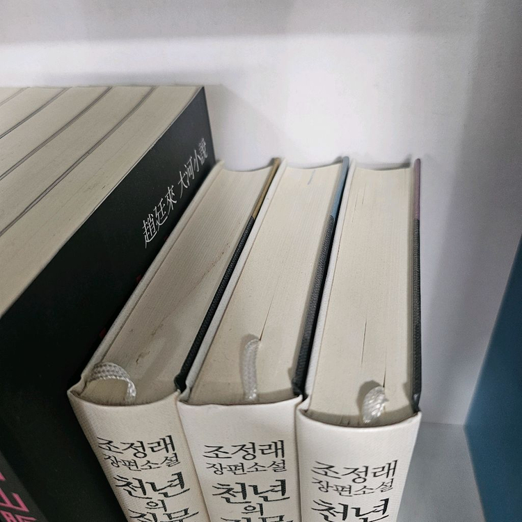 조정래 태백산맥 +천년의질문 ㅡ택배비포함 이미지