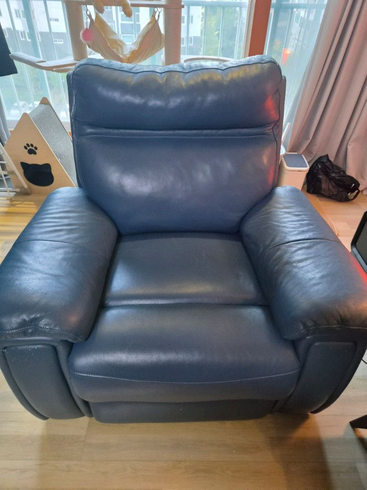 4인용 리클라이너 쇼파+1인 리클라이너 쇼파 나눔해요 이미지