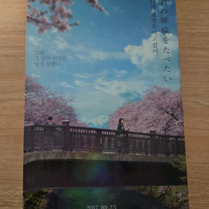 너의 췌장이 먹고 싶어 2권 세트 이미지