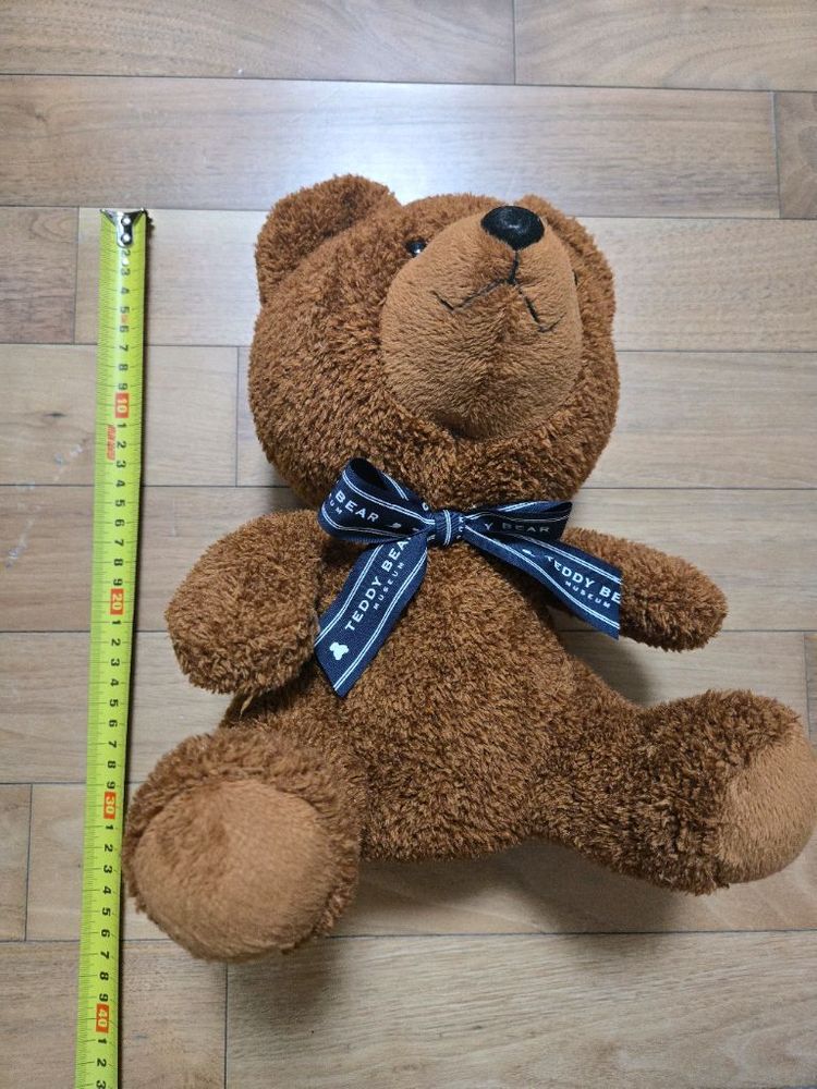 (가격내림) 제주도 테디베어 뮤지엄 인형 이미지