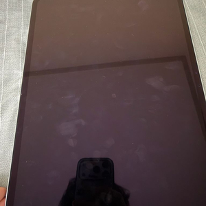 아이패드 프로 M4 13인치 256기가 셀룰러 이미지