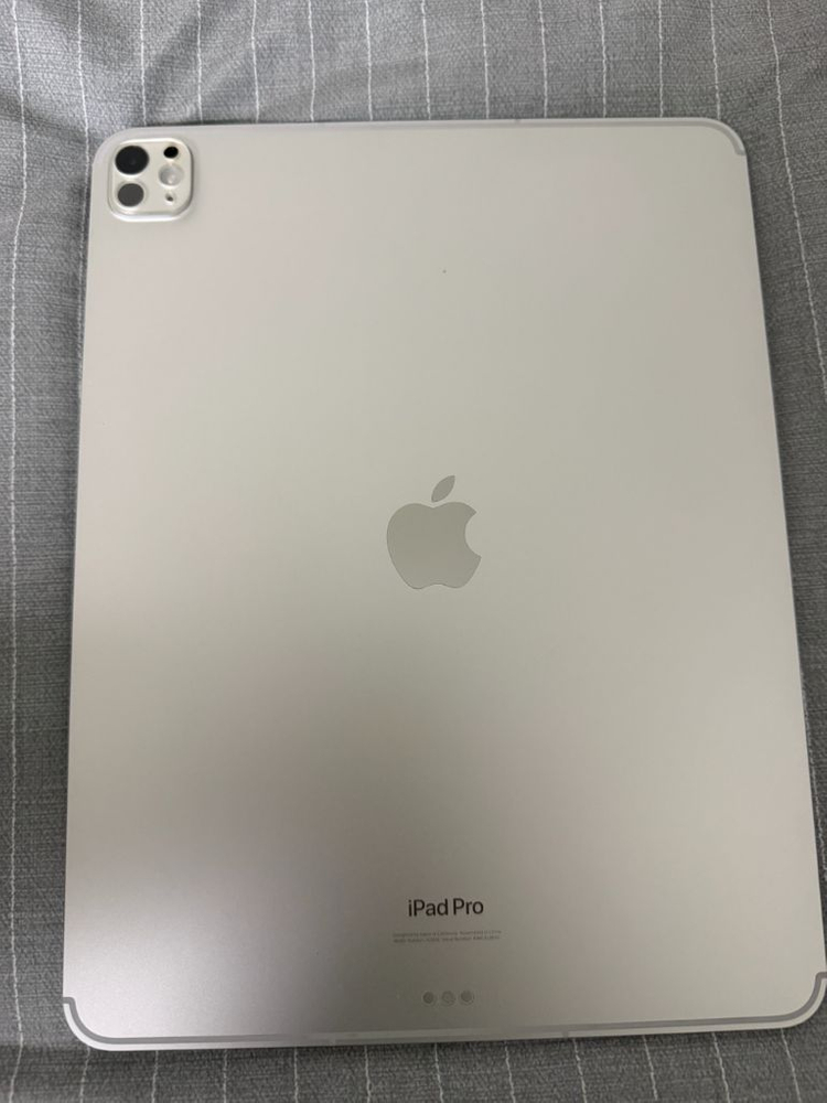 아이패드 프로 M4 13인치 256기가 셀룰러 이미지