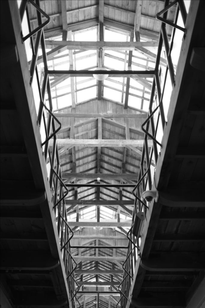 후지필름 x-e4 바디 새상품급 이미지