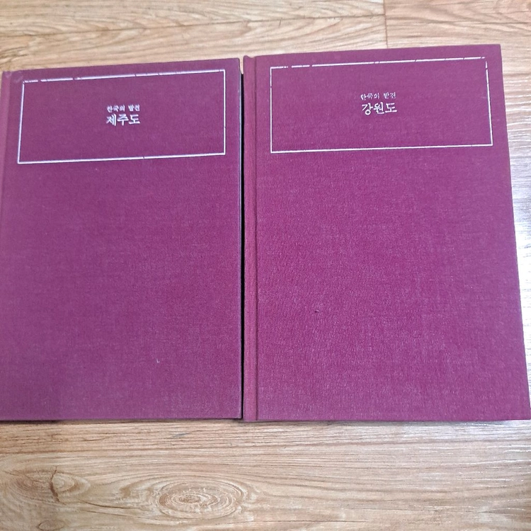 뿌리깊은 나무 ㆍ한국의 발견 10권 이미지