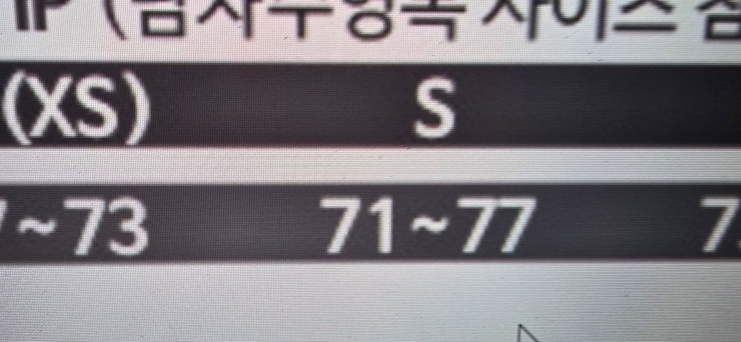 미즈노경기용수영복 이미지