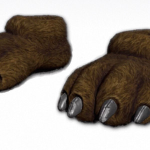 배그 곰발 스킨 이미지