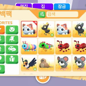 입양하세요 펫 이미지