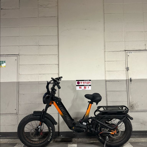 전기자전거 랑케레이시 rx800plus 이미지