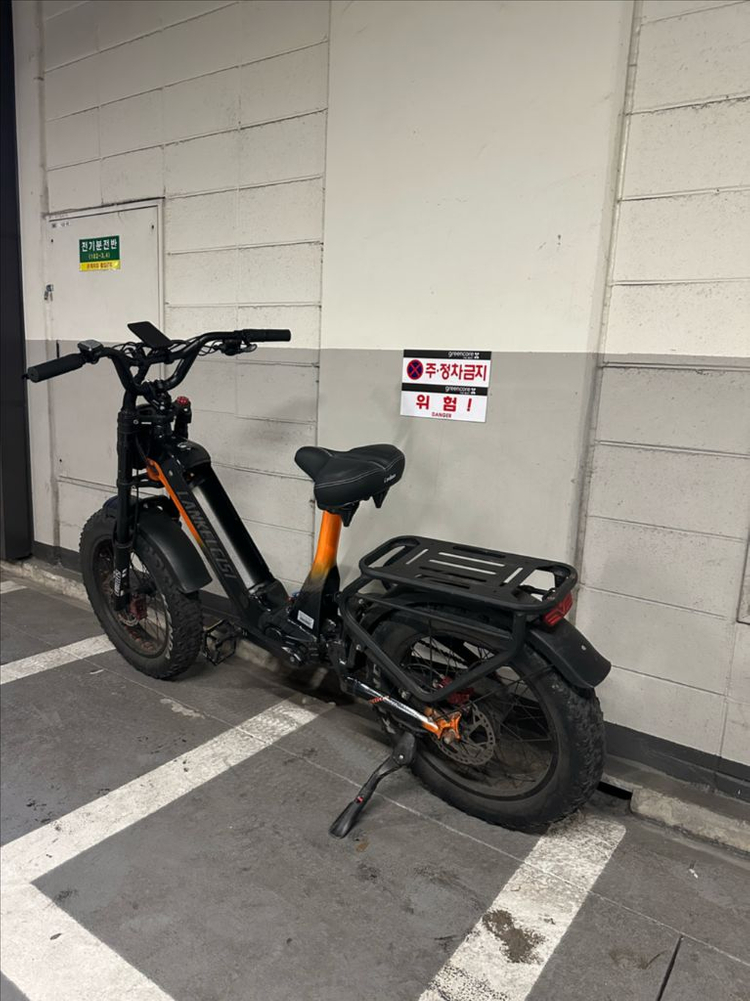 전기자전거 랑케레이시 rx800plus 이미지