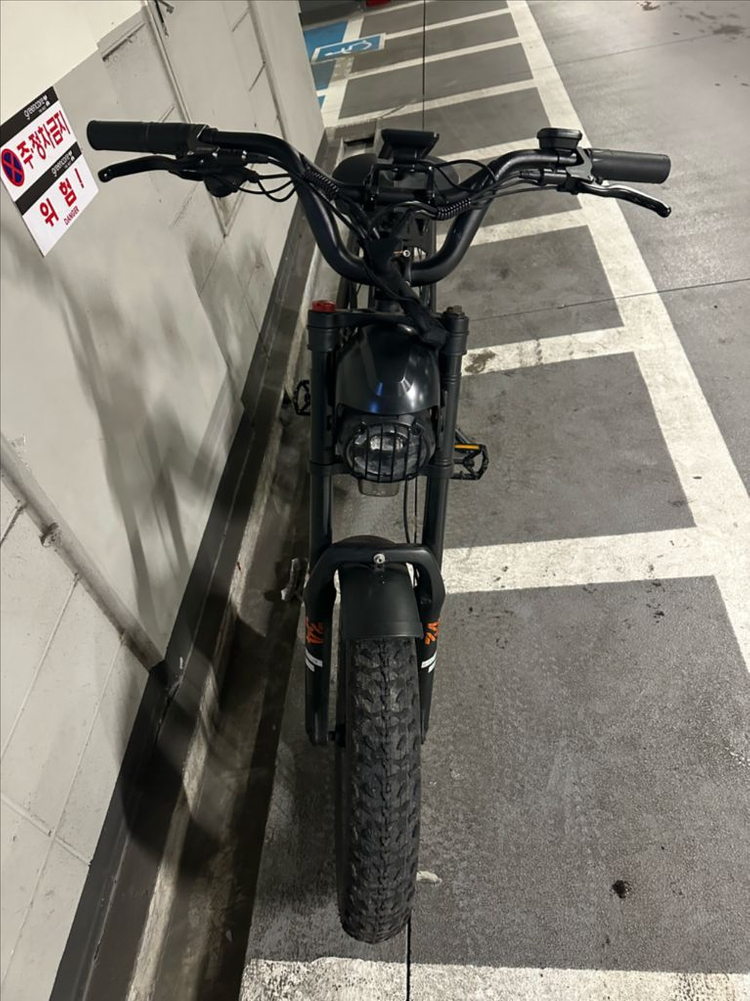 전기자전거 랑케레이시 rx800plus 이미지