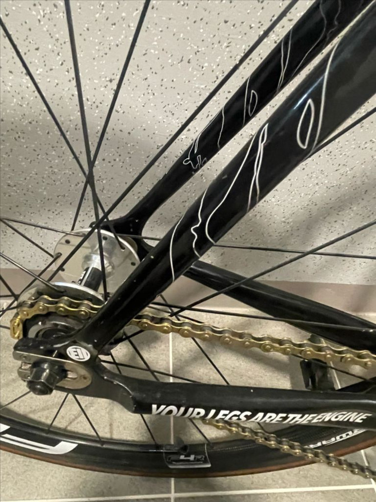 엔진11 크릿디 픽시 팀에디션 판매/대차 이미지