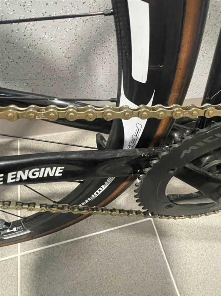 엔진11 크릿디 픽시 팀에디션 판매/대차 이미지