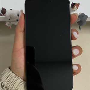 아이폰15프로 256G 블랙티타늄 A급 이미지