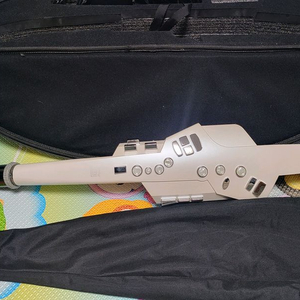 롤랜드 에어로폰 ae10 전자 색소폰 이미지