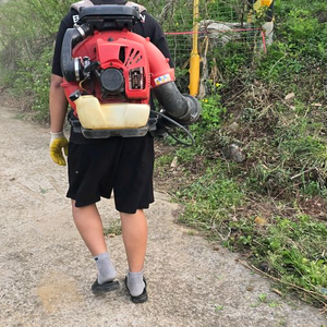 제노아 EBZ8550 엔진 송풍기 브로워 이미지