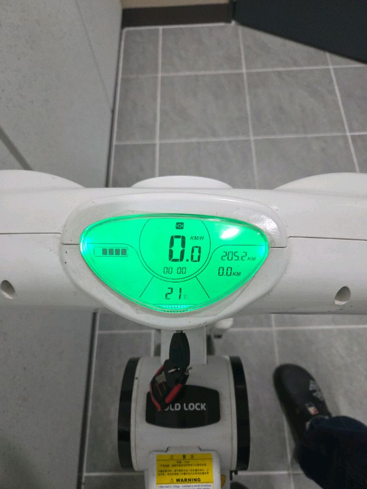 에코 라이더 프로 전동 스쿠터 전동 자전거 이미지