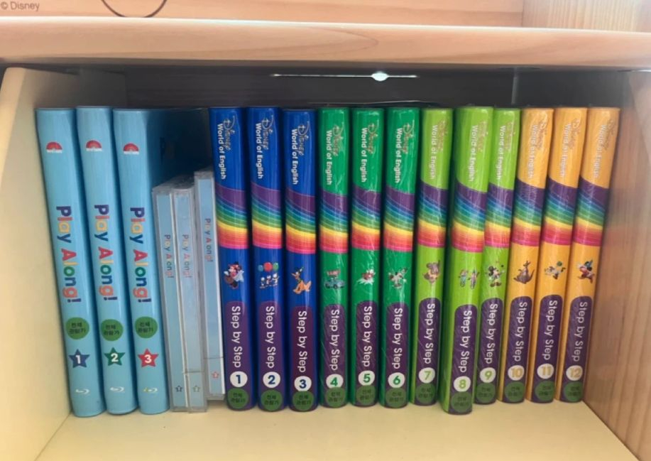 디즈니 월드 잉글리쉬 월팸 이미지