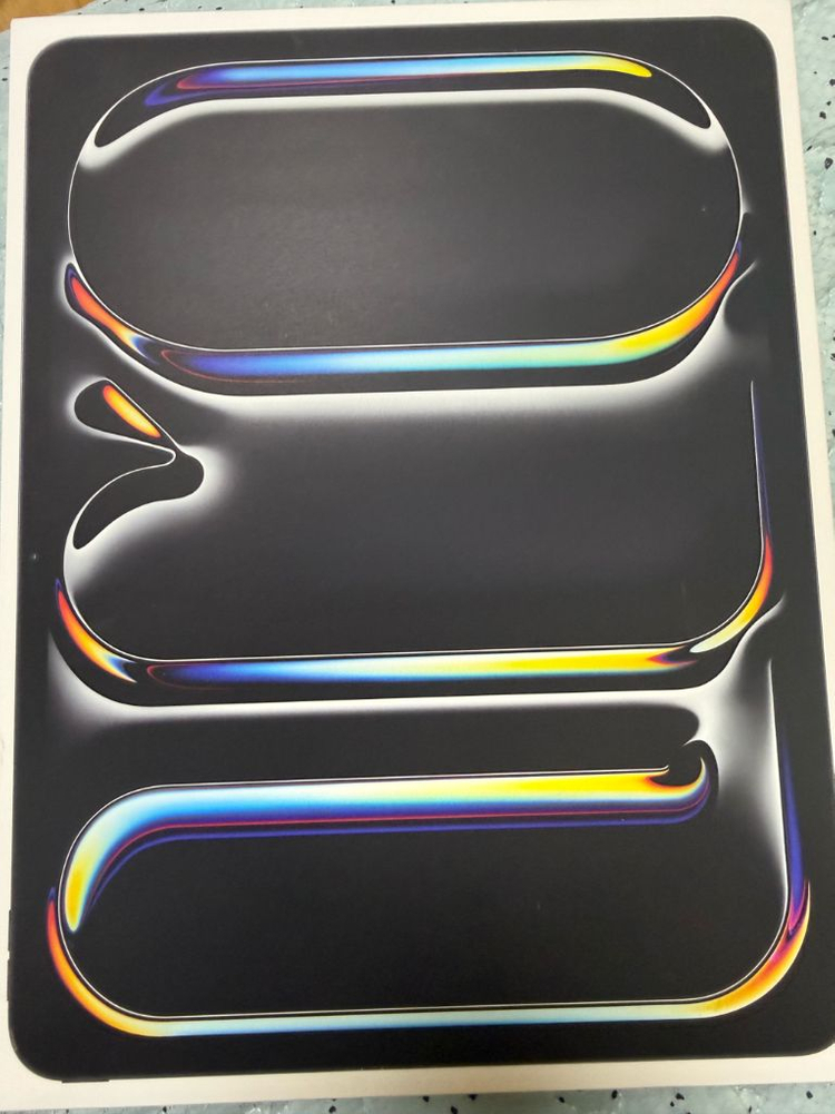 아이패드프로13 m4 셀룰러 팝니다 이미지