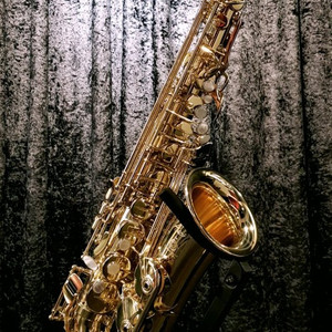 신품급 셀마 악소스 알토 색소폰 팝니다 이미지