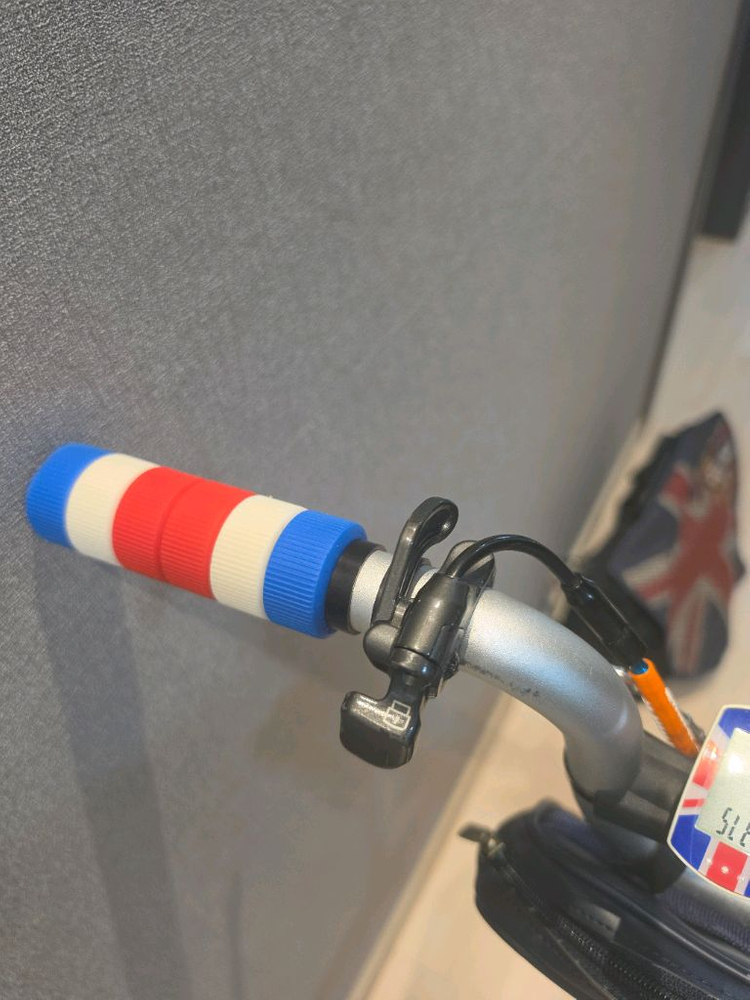 브롬톤 쥬빌리리미티드에디션 한정판 팝니다 이미지