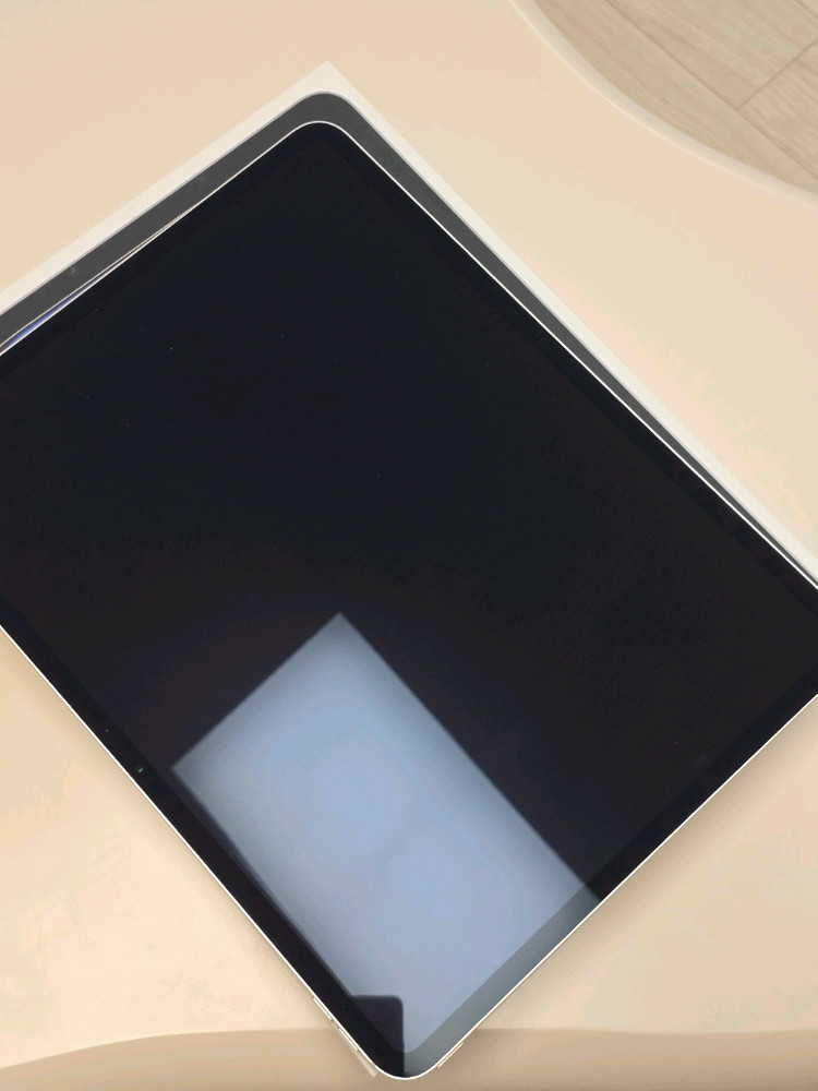 아이패드 프로 13 m4 256 와이파이 애플케어 이미지