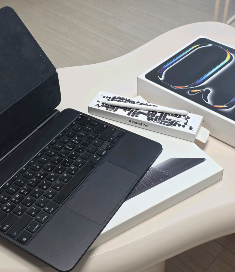 아이패드 프로 13 m4 256 와이파이 애플케어 이미지