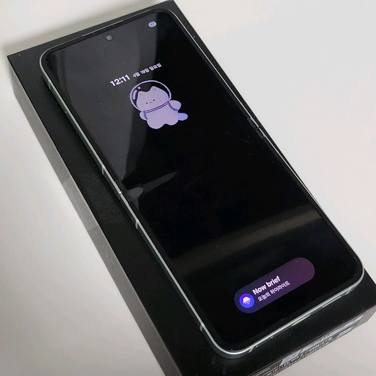 갤럭시 z플립6 민트 256GB 이미지